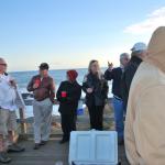 Cambria_0204 (November 05, 2011)